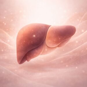 The role of the liver in skin health and acne